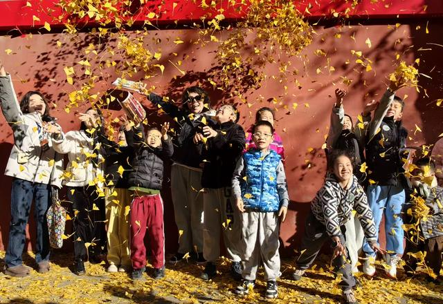 彩叶映红墙；景山公园迎来绚烂的最佳观赏期