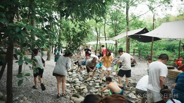 枕溪水、伴林风，崇州这个营地好玩又出片