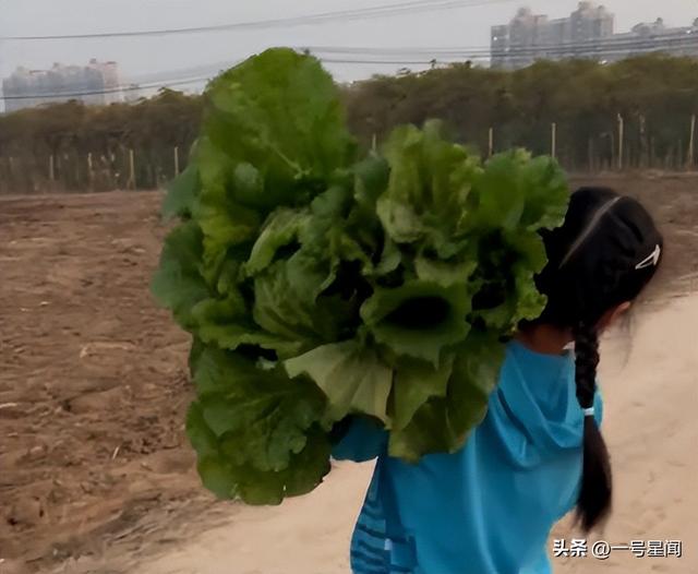 里子面子都丢了！森林北自曝体检结果，撕下了汪峰仅剩的"体面"