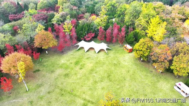 公园景区秋色图鉴,这几处必打卡