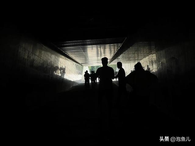 “如果你去旅行会选择哪？”电影《731》开场第一句就问哭了我