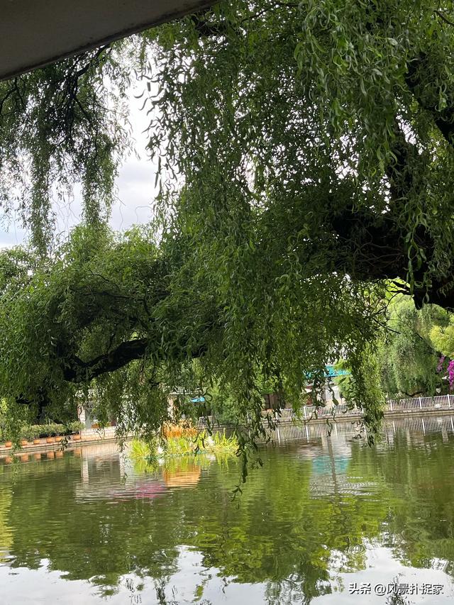 昆明翠湖公园，生态绿洲！