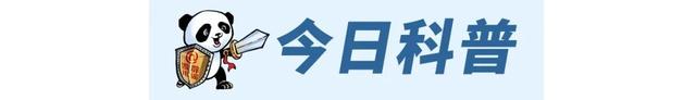 熊猫斩谣（2025年8月7日）