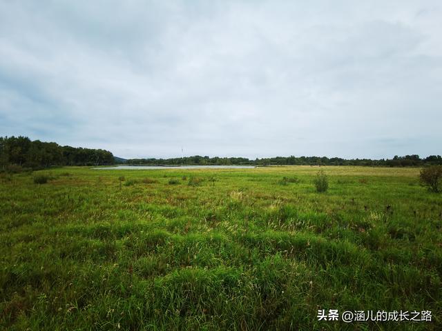 总要去趟草原吧！自驾塞罕坝和乌兰布统超简攻略（附图超全）