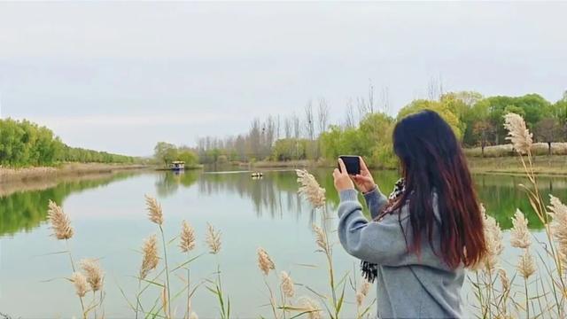 斑斓秋日红荷湿地 “赏草季”浪漫开启~~~