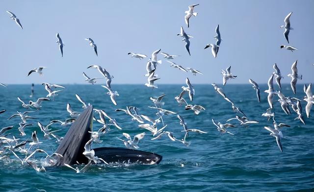 西安直飞丨8个暖冬城市丨避冬、遛娃、拍照、度假好去处推荐