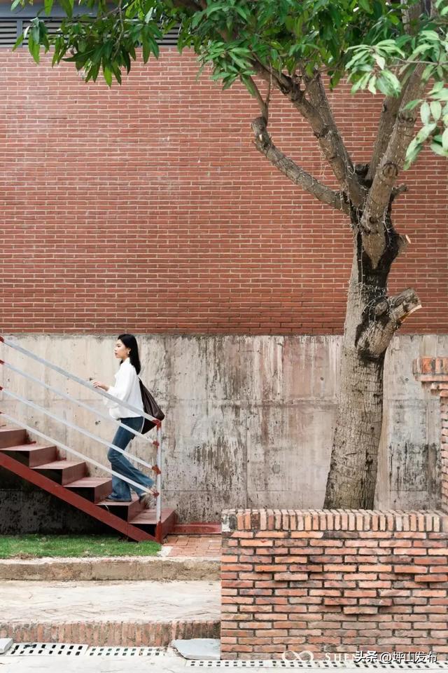 骑遇坪山① | 宝藏“高颜值”骑行线,拍出森系大片刷爆朋友圈