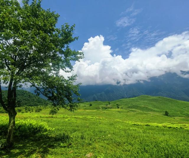 漫步黑竹沟,尽享初秋美景~