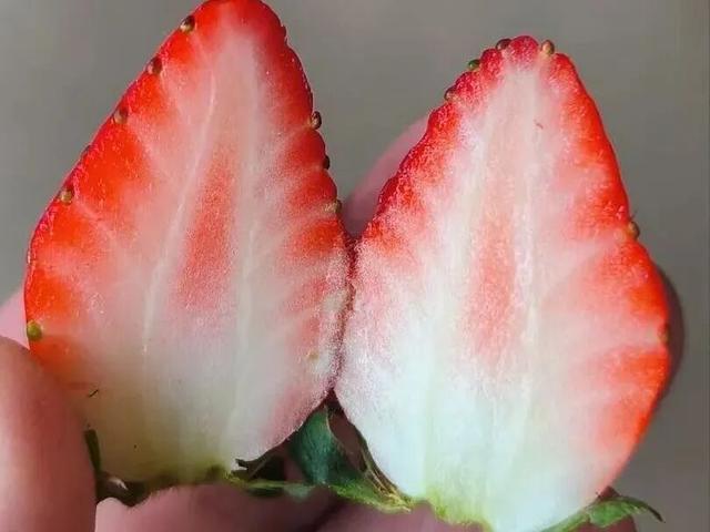 长三角果香正浓！快到这些当季采摘点位探“鲜”吧~