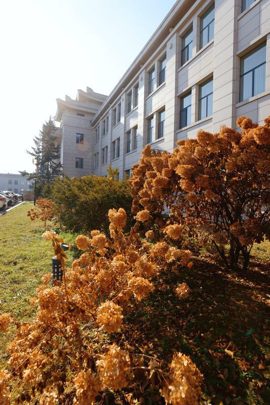 秋之彩色吉林｜层林尽染，鹿影翩跹！这里的秋天美成一首诗