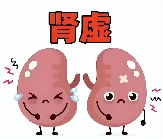 建议男人不管有钱没钱，这8种“黄金菜”多常吃，补肾壮腰强筋骨