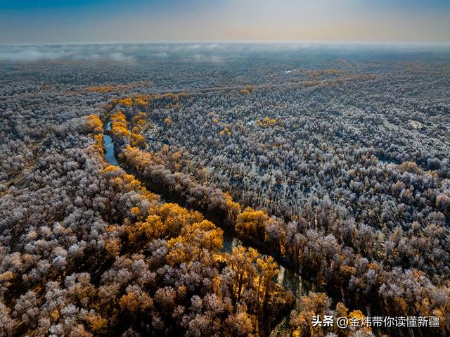 新疆轮台县：轮南胡杨林惊现雾凇奇观