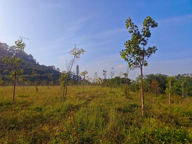 塘朗山郊野公园火车道口与绿平二路段，爬坡酸爽，骑友的天堂