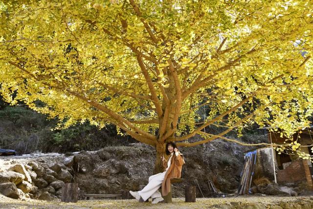 怀集的四季!带你回顾,带你深入