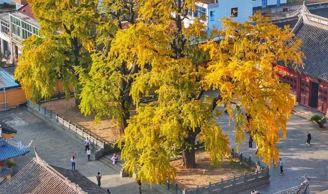 20个点位已公布！张家港人拍照请抓紧