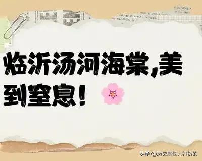 全方位介绍临沂河东区仅剩的六个镇街（6）:美到窒息的汤河镇