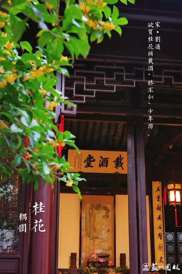 桂香满城！苏州桂花赏花地图来了！