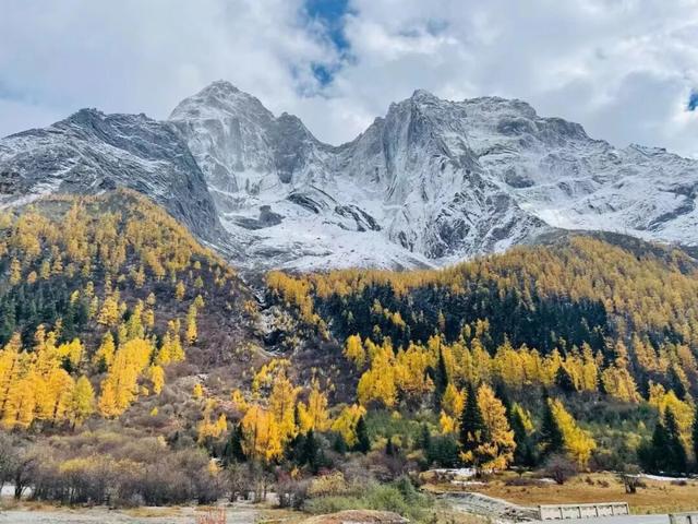 接下来，小金是这样的~