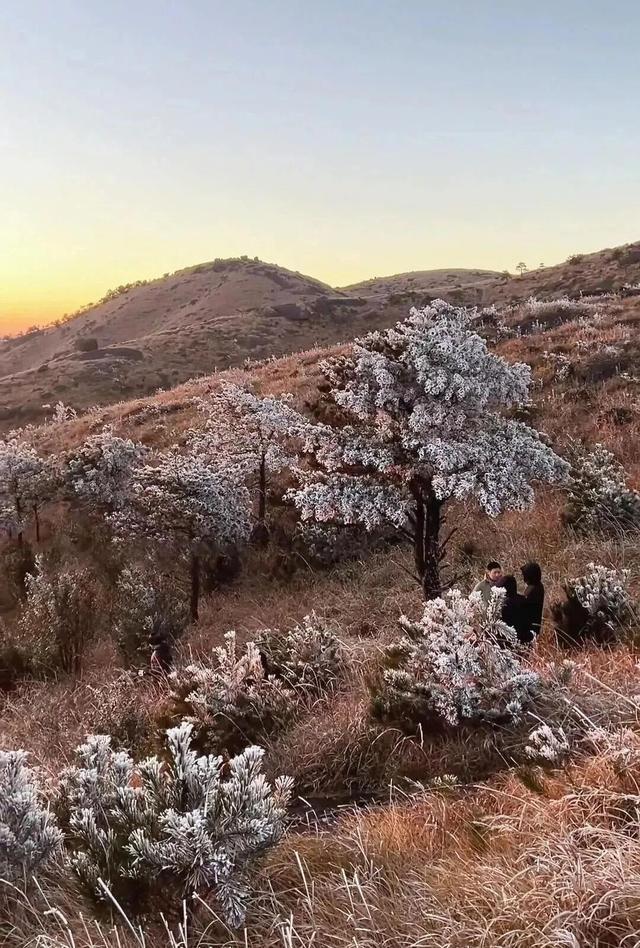 冬日雾凇惊艳再现仙游石谷，莆田多地霜冻预警中！天气回暖还得等