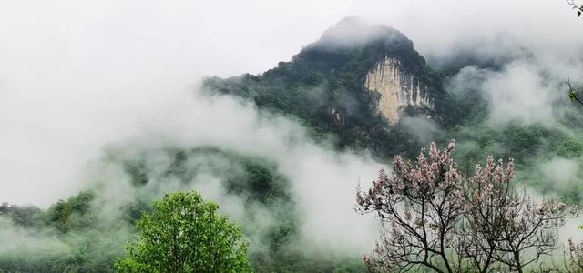 藏不住了！嘉陵镇这份治愈系美景，承包你所有的诗和远方～