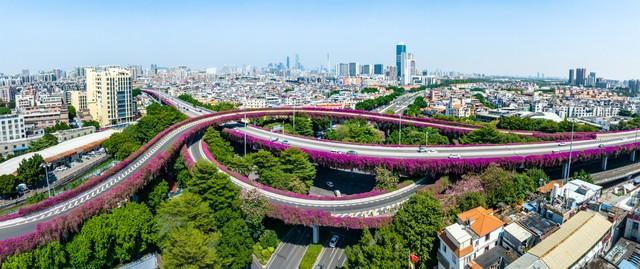 花漫鹏城，墟声鼎沸：2025深圳勒杜鹃赏花周首日走笔