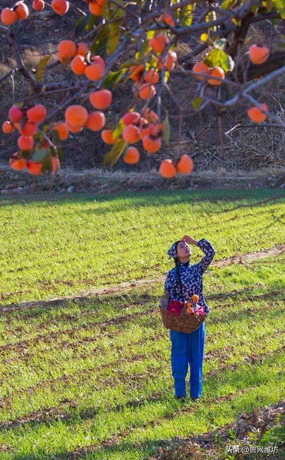 秋天的潍坊，是谁惊艳你的朋友圈？
