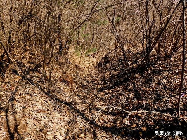 明长城本溪段全程探寻