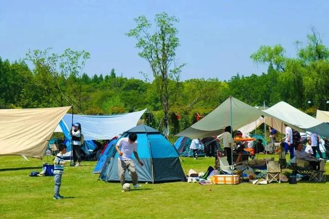 初冬逛沪郊!奉贤、崇明限时优惠来啦