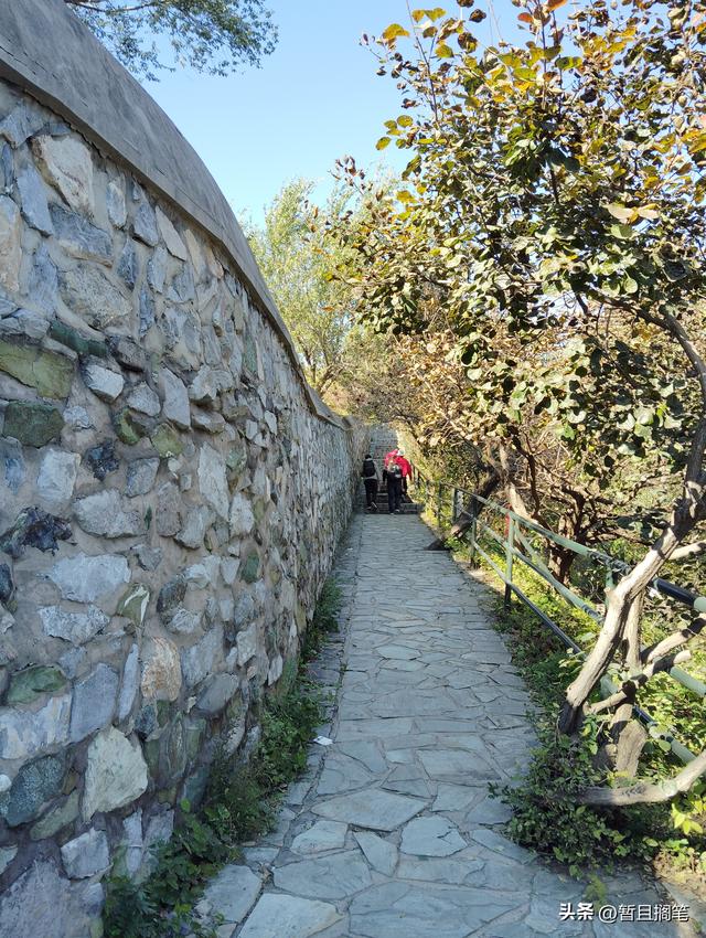 以我4次经历，带你打卡北京香山，北京的朋友请补充