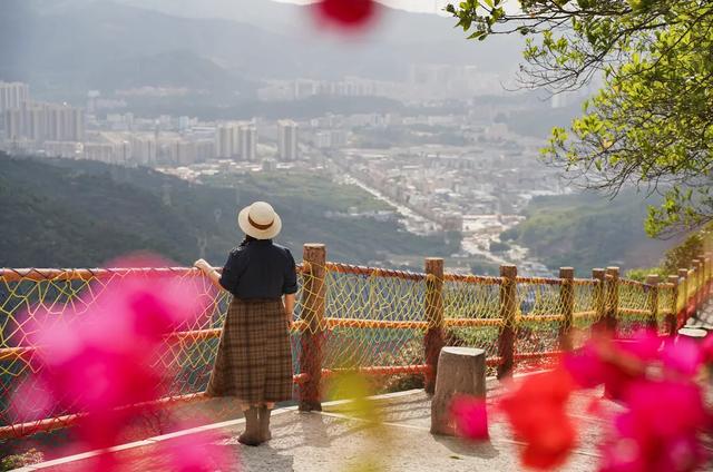 春风有信,木棉花开有期!在东莞观音山,找到了春天热烈的模样!
