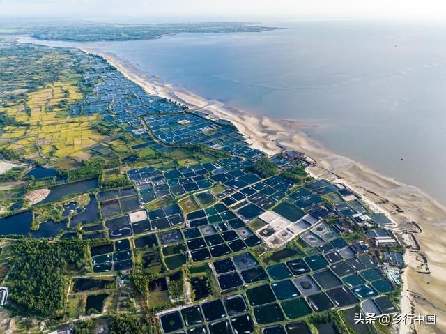 雷州半岛：从历史脉络到未来蓝图，探寻发展密码