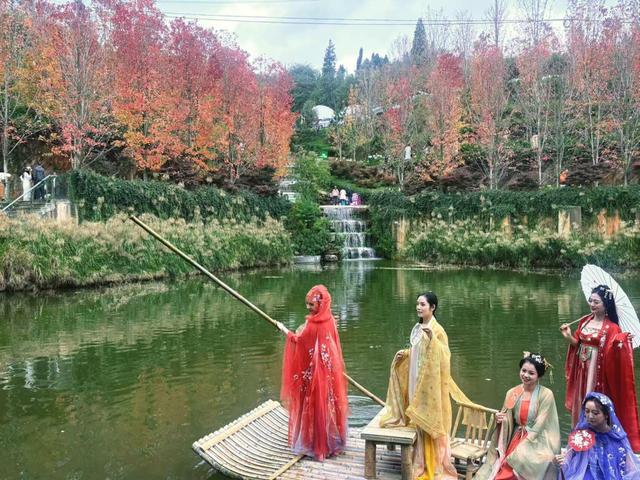 昆明新增赏秋新地标 来石林天外天红枫园感受春城当季浪漫之旅