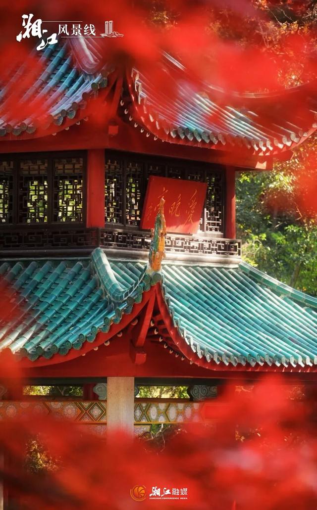 湖南“追枫”地图更新！哪片红对你的味？