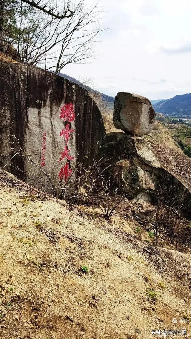 著名的赏李花胜地！这个书圣王羲之后裔居住地的千年古村你可去过