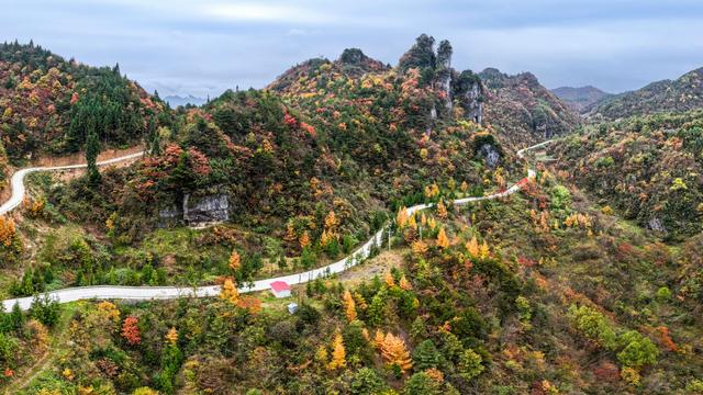 上坝彩林 彩林坝上