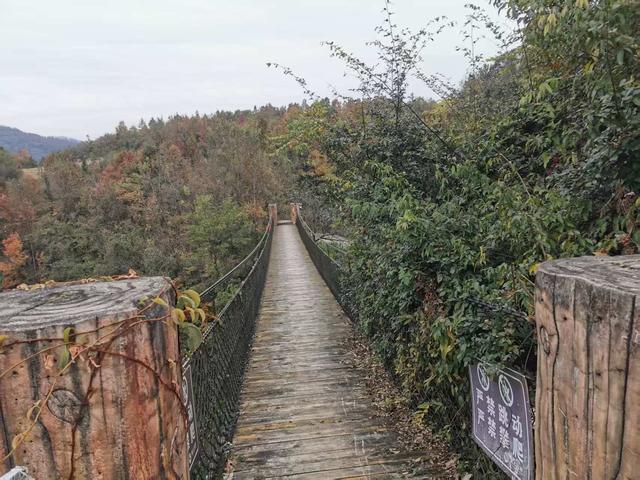 遵义绥阳：深山秘景“崖上秋歌”