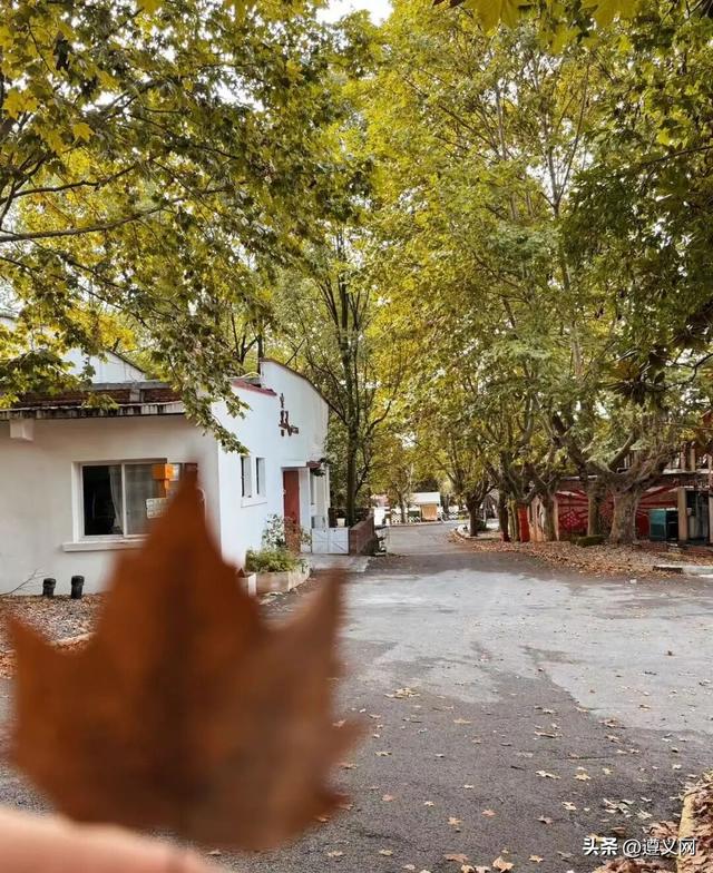 悦·遵义丨享暖冬 这条「城区漫游指南」，藏着最治愈的红城烟火！