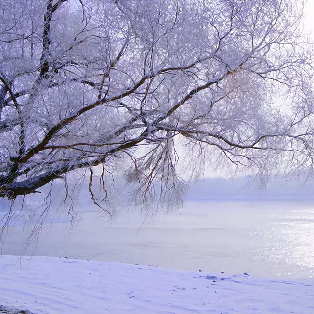 邂逅绝美雪景，开启冬日浪漫
