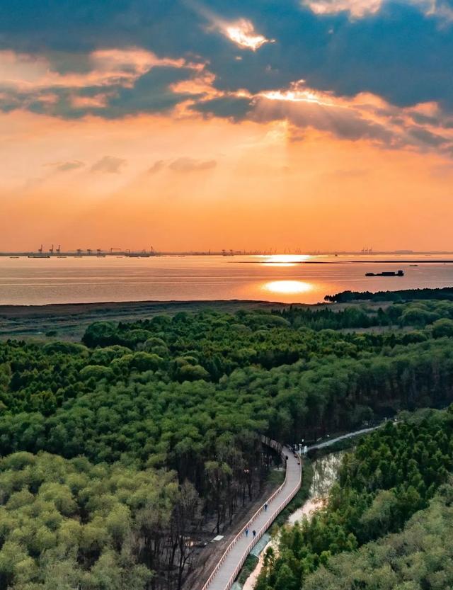 上海人必去！这座5A景区免门票免停车费，风景美到窒息！