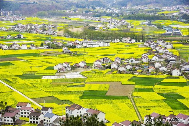 春风十里汉中路：120 公里花海茶园摄影环线