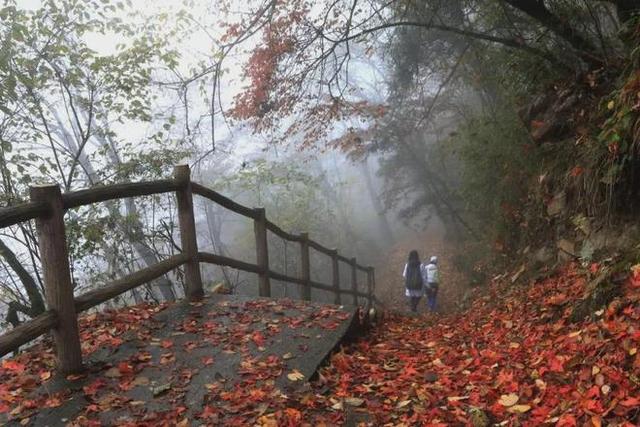安康南宫山：五彩秋色惹人醉