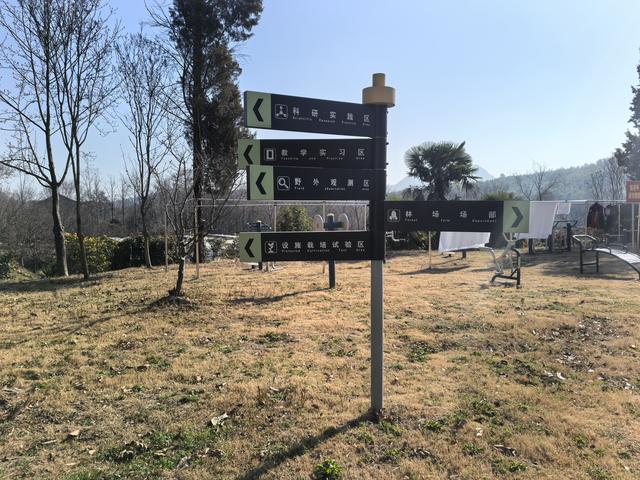 南京第二次到镇江武岐山空青山郊野徒步