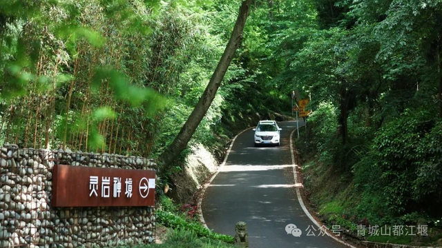 报告！新发现都江堰隐藏款“绿野仙踪”🤟
