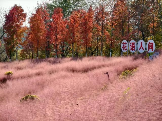 田曦薇、胡一天打卡西海岸！约你来玩！