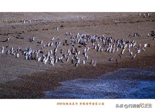 南极南美三国行游影记（79）—阿根廷旁塔汤布国家公园（六）