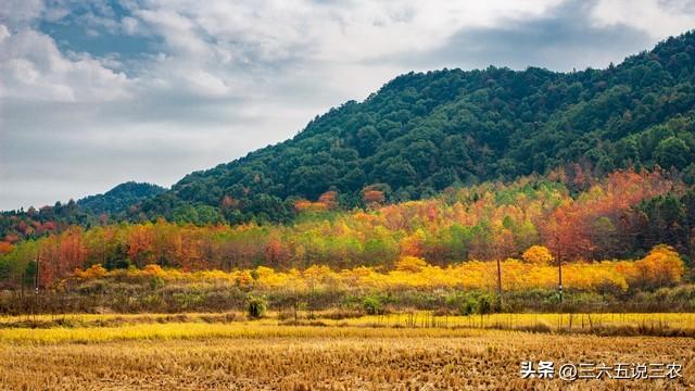 “最怕小雪一日晴”，今日小雪，晴天有啥好怕？看老祖宗咋说