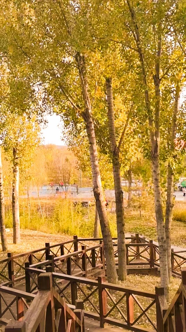 初冬，暖阳斜照时，这里仍有几分秋色——