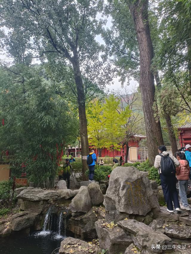 无为在歧路，济南红叶谷