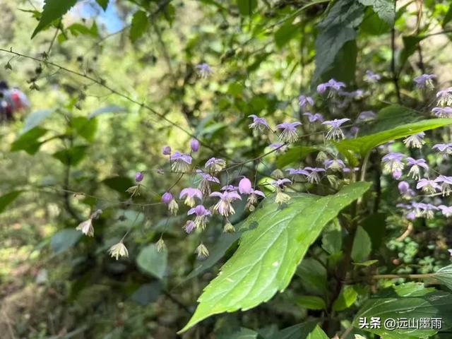 在阳光明媚的秋日里，我们走马街、三家村水库、团结乡滑草场，爽