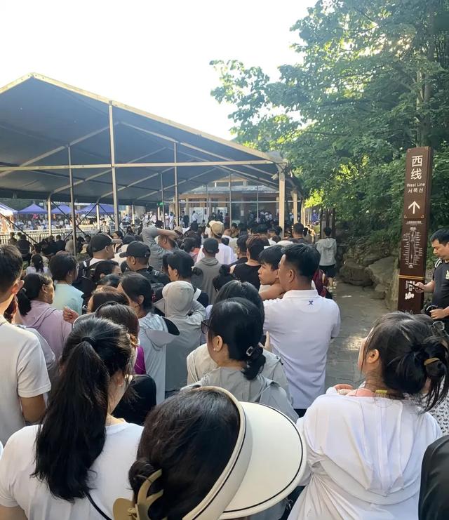 黄果树瀑布“人挤人”上热搜:旺季出游,我们到底在为谁买单?